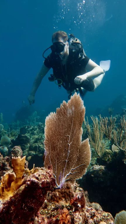 Beginner diver learning underwater skills in Cuba