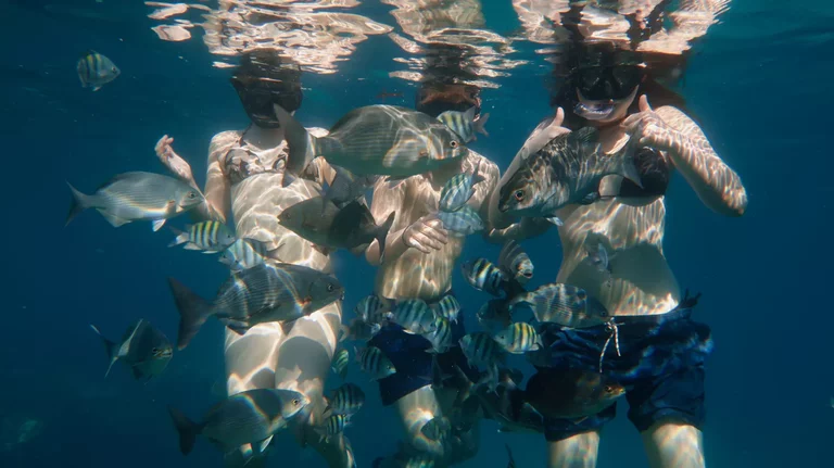 Family snorkeling together in calm shallow waters in Varadero