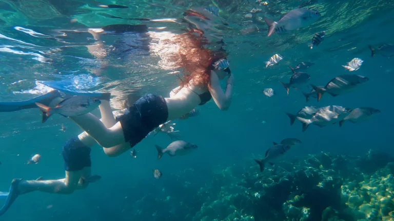 Snorkeler floating over coral reef in clear water in Varadero Cuba