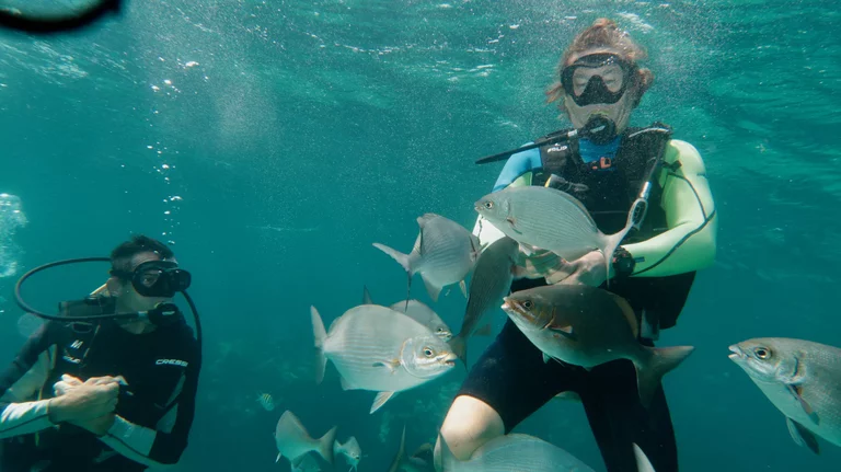 First time scuba diving experience in Varadero with fish