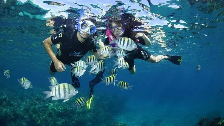 Excursion éco-responsable de snorkeling à Cuba