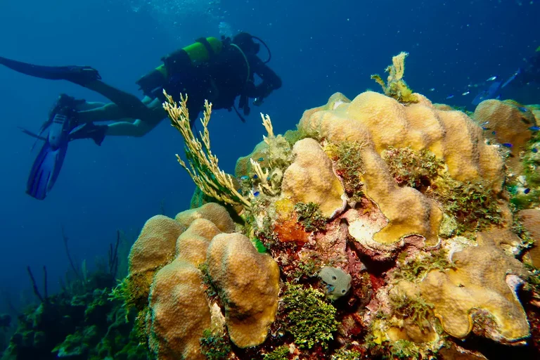 Responsible scuba diving in Varadero showing diver maintaining safe distance from reef