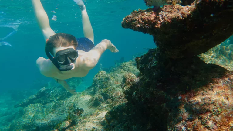 Snorkeler observing coral reef without touching marine life in Varadero