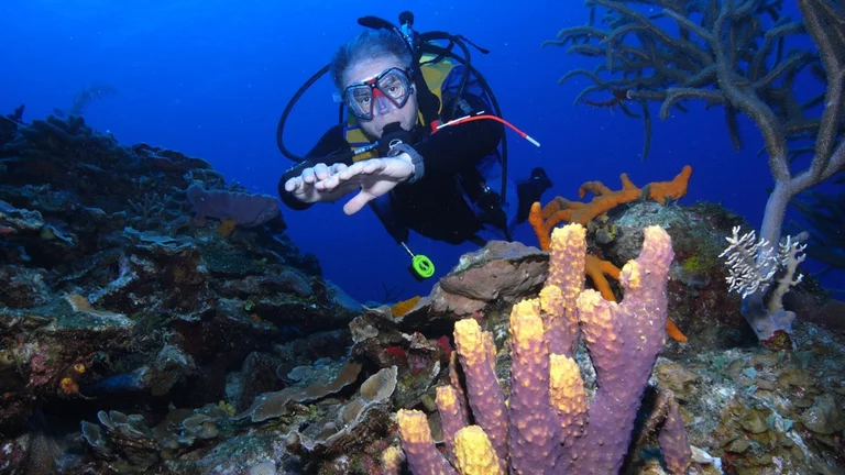 Scuba courses training with instructor in Cuba