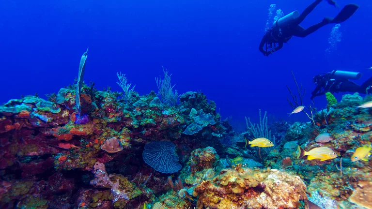 Scuba diver exploring coral reef in Varadero, Cuba