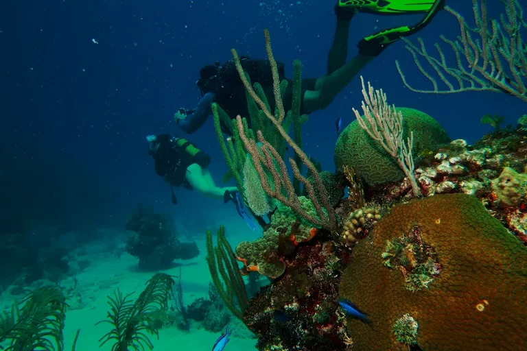 Small group scuba diving experience in Varadero with instructor guiding divers underwater