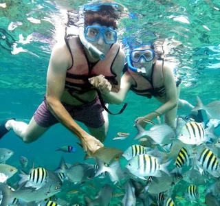 “Snorkeling trips with tropical fish in shallow reef at Coral Beach, Matanzas”