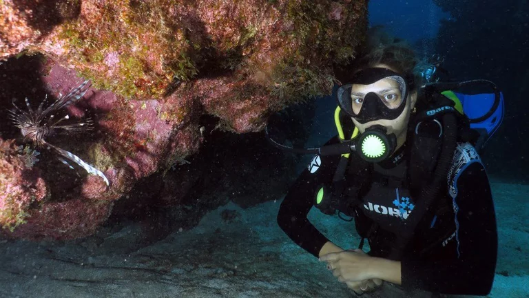 “Caribbean reef fish at Punta Sabanilla dive site”