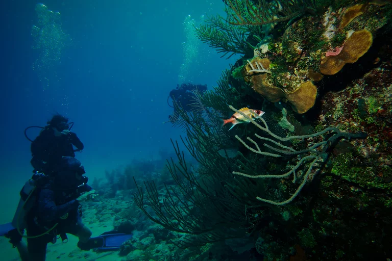Scuba diver next to reef wall drop off in Varadero deep blue water