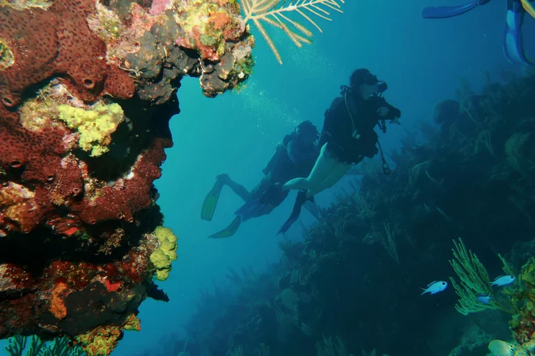 Fun dives in Varadero for certified scuba divers