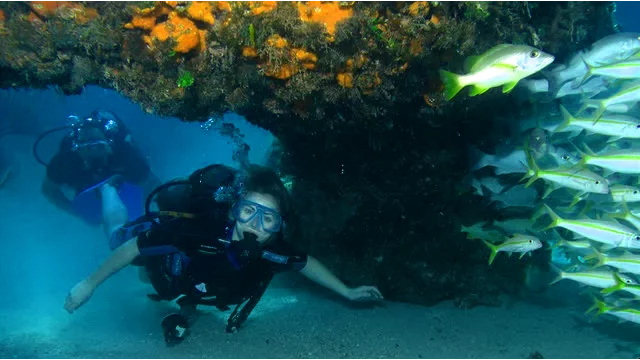 Diver surrounded by tropical fish on coral reef in Varadero